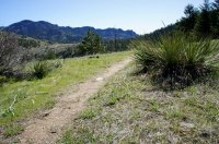 DSC05213.jpg DSC05213.jpg