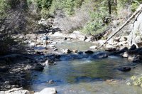 DSC05217.jpg DSC05217.jpg