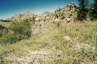 DSC05226.jpg DSC05226.jpg