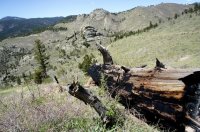 DSC05240.jpg DSC05240.jpg