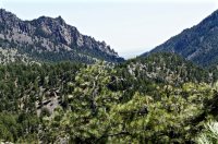 DSC05265.jpg DSC05265.jpg