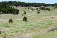 DSC05279.jpg DSC05279.jpg