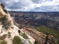 IMG_6985 [1024x768].JPG