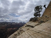 IMG_7001 [1024x768].JPG