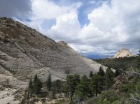 IMG_7006 [1024x768].JPG