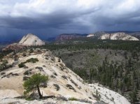 IMG_7010 [1024x768].JPG