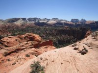 IMG_7074 [1024x768].JPG