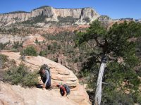 IMG_7083 [1024x768].JPG