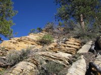 IMG_7086 [1024x768].JPG