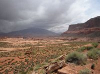 IMG_6608 [1024x768].JPG