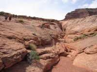 IMG_6667 [1024x768].JPG