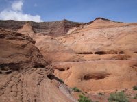 IMG_6671 [1024x768].JPG