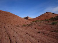 IMG_6716 [1024x768].JPG