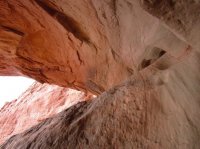 IMG_6733 [1024x768].JPG