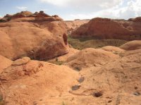 IMG_6803 [1024x768].JPG