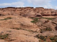 IMG_6806 [1024x768].JPG