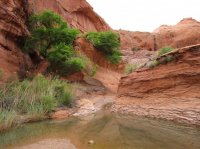 IMG_6761 [1024x768].JPG