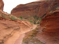 IMG_6763 [1024x768].JPG