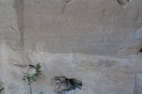 IMG_4178_edit.jpg IMG_4178_edit.jpg