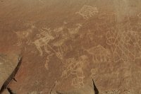 IMG_4244_edit.jpg IMG_4244_edit.jpg