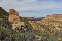 IMG_4273_edit.jpg IMG_4273_edit.jpg