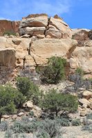 IMG_4337.JPG IMG_4337.JPG