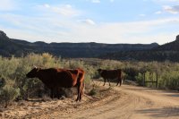 IMG_4191.JPG IMG_4191.JPG