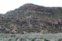 IMG_4256.JPG IMG_4256.JPG