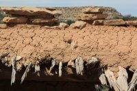 IMG_4333.JPG IMG_4333.JPG