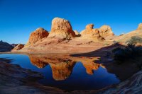 Des3 245imp resized.jpg