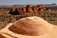 141 imp - resized.jpg