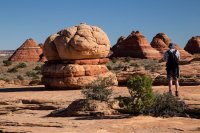 238 im resized - Copy.jpg