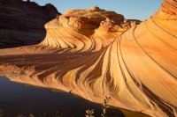 Des3 249 im resized - Copy.jpg