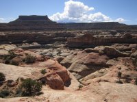 IMG_5499 [1024x768].JPG