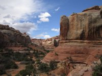 IMG_5527 [1024x768].JPG