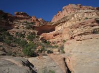 IMG_5590 [1024x768].JPG