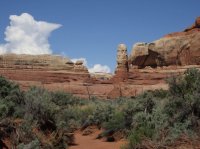 IMG_5611 [1024x768].JPG