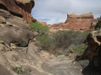 IMG_5672 [1024x768].JPG