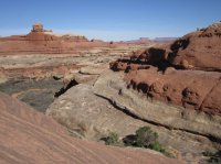 IMG_5701 [1024x768].JPG