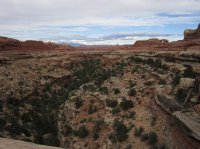 IMG_5768 [1024x768].JPG