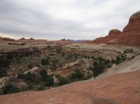 IMG_5769 [1024x768].JPG