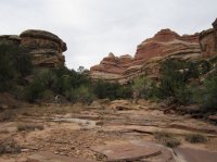 IMG_5835 [1024x768].JPG