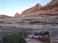 IMG_5863 [1024x768].JPG