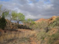 IMG_5878 [1024x768].JPG