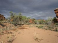 IMG_5881 [1024x768].JPG