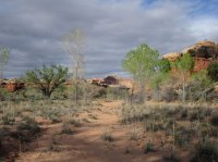 IMG_5883 [1024x768].JPG