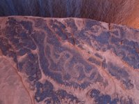 IMG_5462 [1024x768].JPG