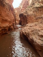 image.jpeg image.jpeg