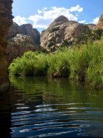 image.jpeg image.jpeg