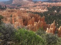 image.jpeg image.jpeg